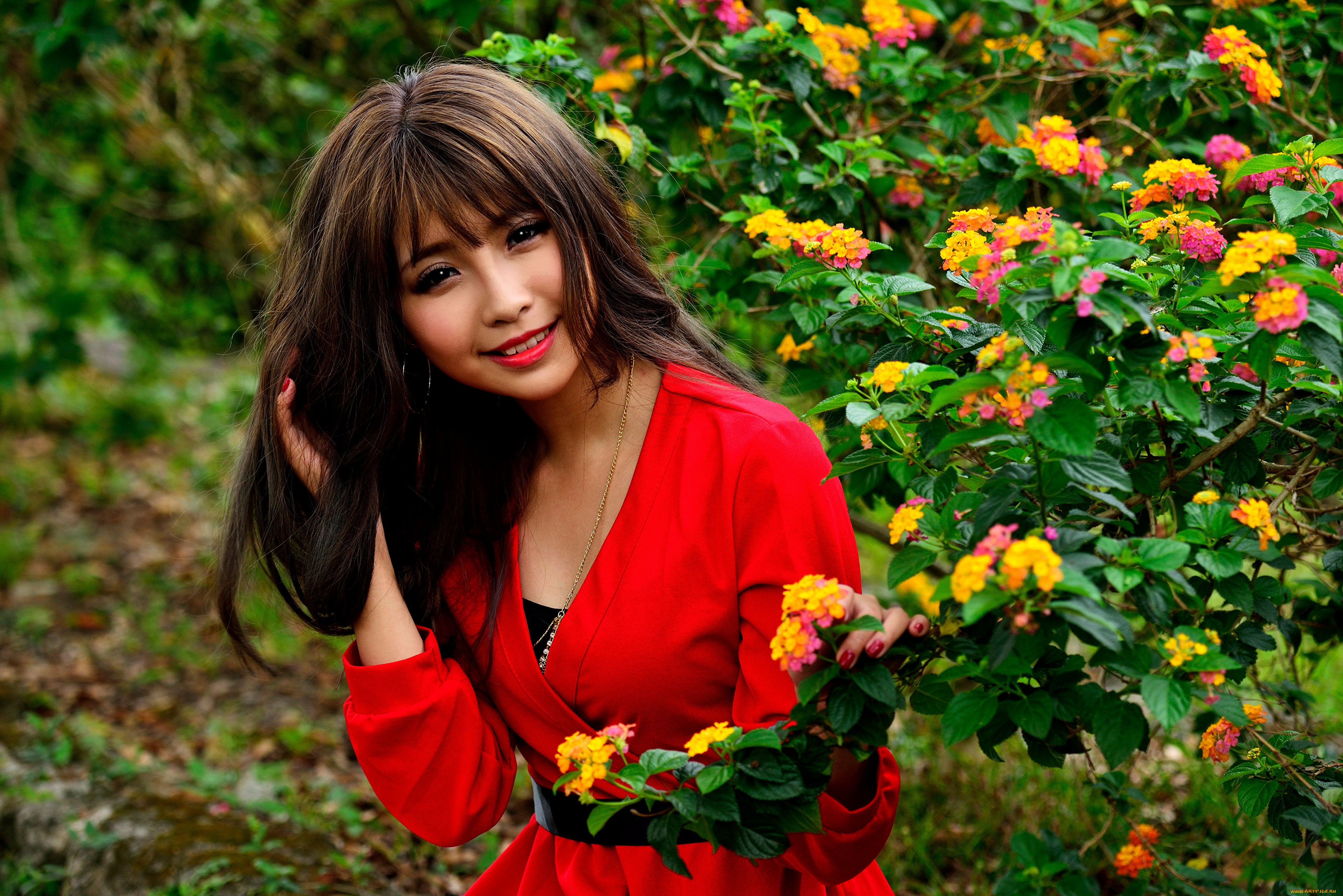 �������, - �������, �������